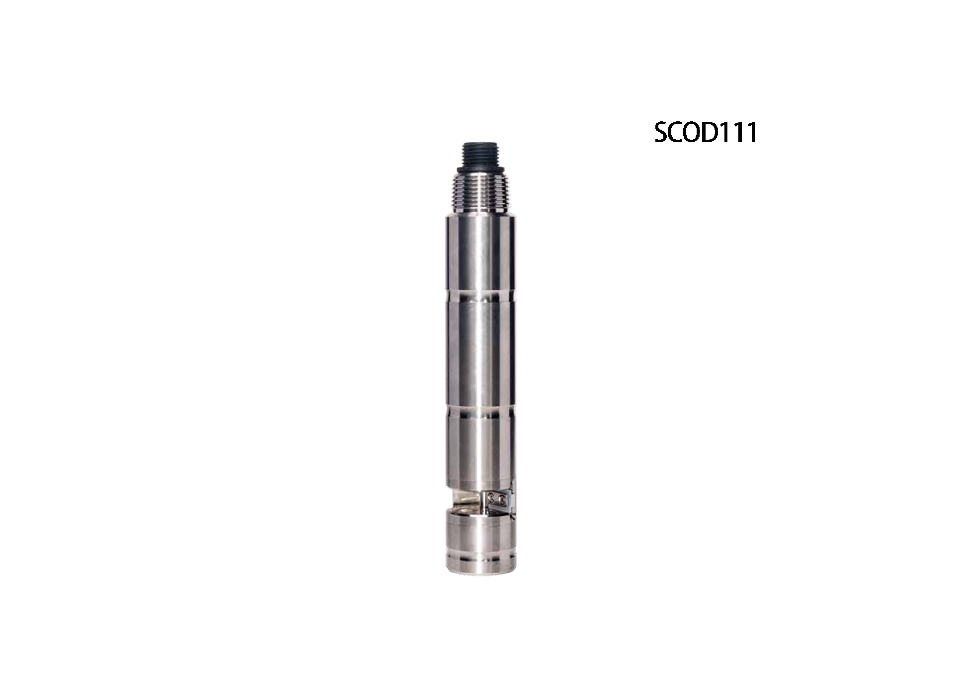 SCOD111.jpg